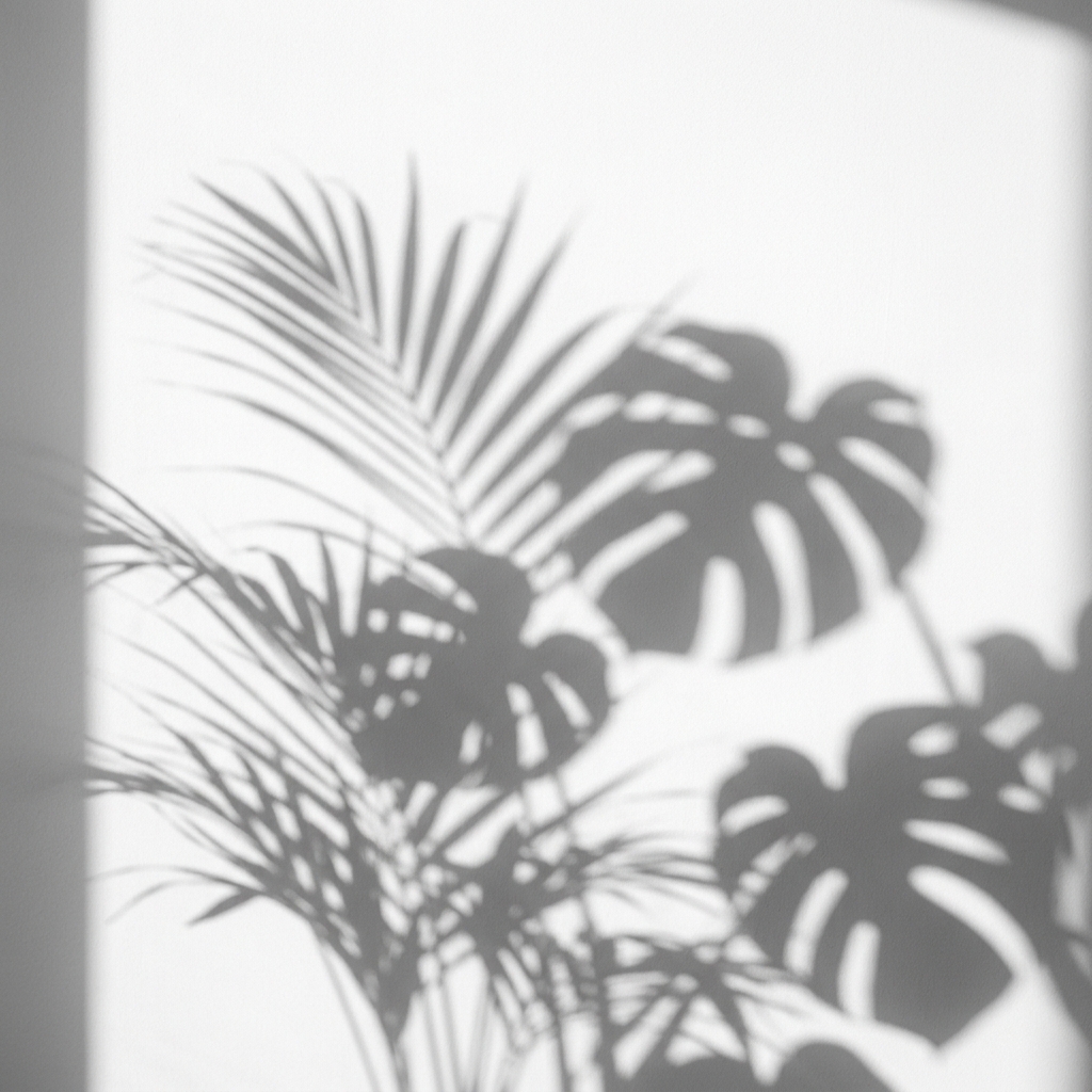 Leaf Shadow Overlay